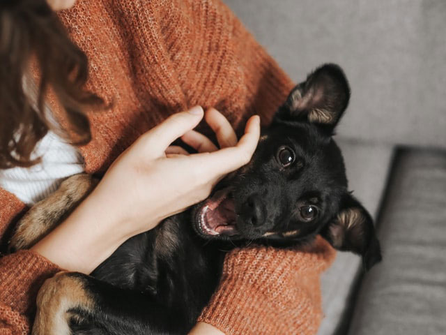 veronika-jorjobert-27w3ULIIJfI-unsplash_1 veronika jorjobert 27w3ULIIJfI unsplash 1