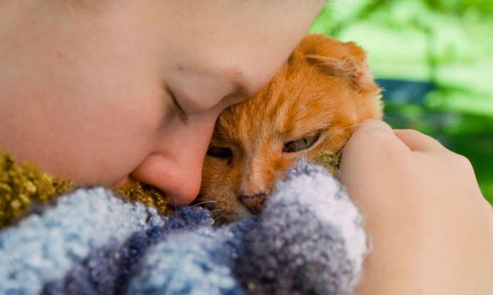 Is Your Cat Diabetic? Spot These 8 Critical Signs Now 2 Is Your Cat Diabetic? Spot These 8 Critical Signs Now